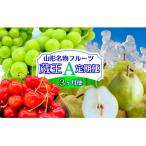 fu.... налог Yamagata город [ установленный срок рейс 3 раз ].... фрукты установленный срок рейс ~ магазин .~ Yamagata достопримечательность фрукты A FY25-343