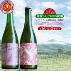 シードル zattana cidre 2本