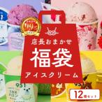 951アイスクリーム 12個セット_hs359-031