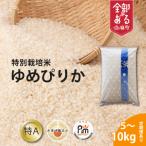 特別栽培米 ゆめぴりか 10kg