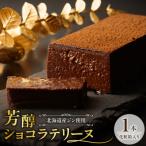 芳醇ショコラテリーヌ フレンチレストラン特製_hs484-001