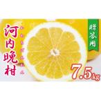 ふるさと納税 愛南町 �