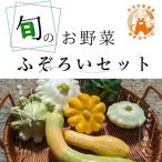 農家の不揃いお野菜セット _HA1860
