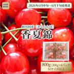 ふるさと納税 鮭川村 【令和8年産 早期受付】 鮭川村産さくらんぼ ＜香夏錦＞ M〜Lサイズ 800g(200g×4P)