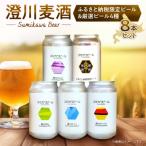 澄川麦酒 ビール4本+厳選4本 8本セット_hs466-006