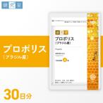 プロポリス ブラジル産 _hs456-032