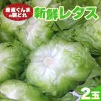 fu.... налог . холм город производство прямой .... утро .. свежий lettuce 300g и больше ×2 шт F21E-491