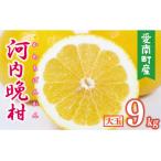 ふるさと納税 愛南町 �