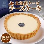 ケーゼチーズケーキ_hs476-003