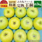ふるさと納税 弘前市 りんご ふみ丸ファーム 最高等級「特選」完熟 王林 約3kg|24_fmf-030301a