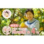 ふるさと納税 愛南町 �