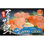 ふるさと納税 小山町 小山町産アトランティックサーモン(4パック)