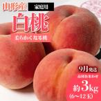 ふるさと納税 山形市 [家庭用]やまがたの桃 (白桃)「柔らかくなる桃」9月 優品【令和8年産先行予約】FS23-812