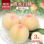 ふるさと納税 赤磐市 桃 2026年 数量限定 清水白桃 糖度12度以上 3玉 計1.0kg以上[NO5765-1459]