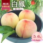 ふるさと納税 赤磐市 桃 2026年 数量限定 白鳳 糖度12度以上 5-6玉 計1.5kg以上[NO5765-1466]