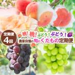 ふるさと納税 山形市 【定期便4回】桃!桃!ぶどう!ぶどう!農家自慢の旬のくだもの定期便 【令和8年産】FS24-720