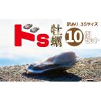 ふるさと納税 陸前高田市 訳あり 殻付き牡蠣 3Sサイズ×10個 不揃い かき 牡蠣 三陸産 鍋 炊き込みご飯 カキフライ