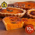 パンプキンパイ 10個入