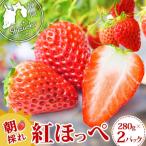 いちご 紅ほっぺ 280g×2P