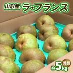 fu.... налог Yamagata город la* Франция примерно 5kg превосходящий товар (10~16 шар ) 3L~6L [11 месяц отправка ]FS25-742