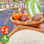 fu.... налог запад . город <.. .. длина овощи ..... наслаждение BOX(3. месяц .. год 4 раз. установленный срок рейс )> Rico булавка z