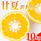ふるさと納税 愛南町 訳あり 甘夏 10kg みかん 蜜柑 果物 柑橘 フルーツ 傷 不揃い 高級 糖度 甘い ゼリー ジ