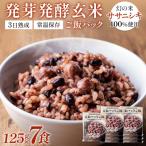 ふるさと納税 石巻市 �