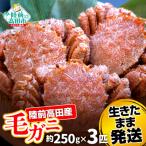 ふるさと納税 陸前高田市 生きたまま発送 毛ガニ 約250g×3匹 陸前高田市産 かに カニ 蟹 活毛ガニ 新鮮 濃厚 天然