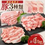 ふるさと納税 鹿児島市 【 生活応援 豚生餃子 1P 】 期間限定 鹿児島県産豚 3種類 6kg(バラ・肩ロース・ロース)