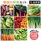 朝採れ野菜 セット 12品