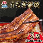 うなぎ蒲焼 3尾