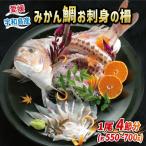 みかん鯛 お刺身の柵 4節 1尾分 宇和島プロジェクト