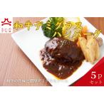 東 やまいち特製 和牛デミグラスハンバーグ 1個×5袋