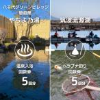 八千代グリーンビレッジ 温泉入浴 5回分