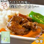 ふるさと納税 設楽町 国産牛 特製ビーフカレー お試し 1個 ご当地カレー レトルト 牛肉 牛