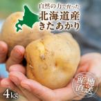 じゃがいも きたあかり 約4kg_hs504-002