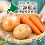 常備野菜セット_hs504-003