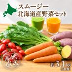 スムージー用野菜セット_hs504-005
