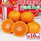 旬の柑橘 便 南柑20号 10kg