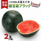 小玉スイカ 姫甘泉ブラック 1箱