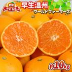 早生温州 10kg