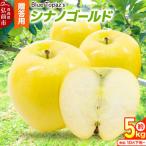 りんご シナノゴールド 約5kg