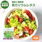 fu.... налог . запад город lettuce низкий калий lettuce 4 штук входит калий 85% cut ... еда ....[No5698-2796]