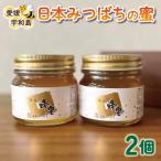 日本みつばちの蜜 250g×2本セット