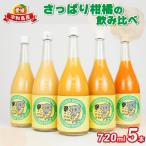 さっぱり柑橘の飲み比べ 5本入
