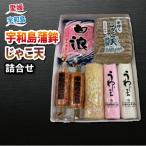 宇和島蒲鉾 じゃこ天詰合せ 田中蒲鉾本店