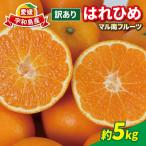 訳あり はれひめ 5kg