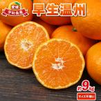 早生温州 9kg