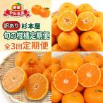 訳あり 柑橘 定期便 全3回 杉本屋 愛媛 みかん