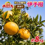 訳あり 伊予柑 約8kg